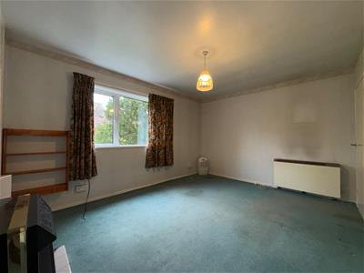 Picture 15